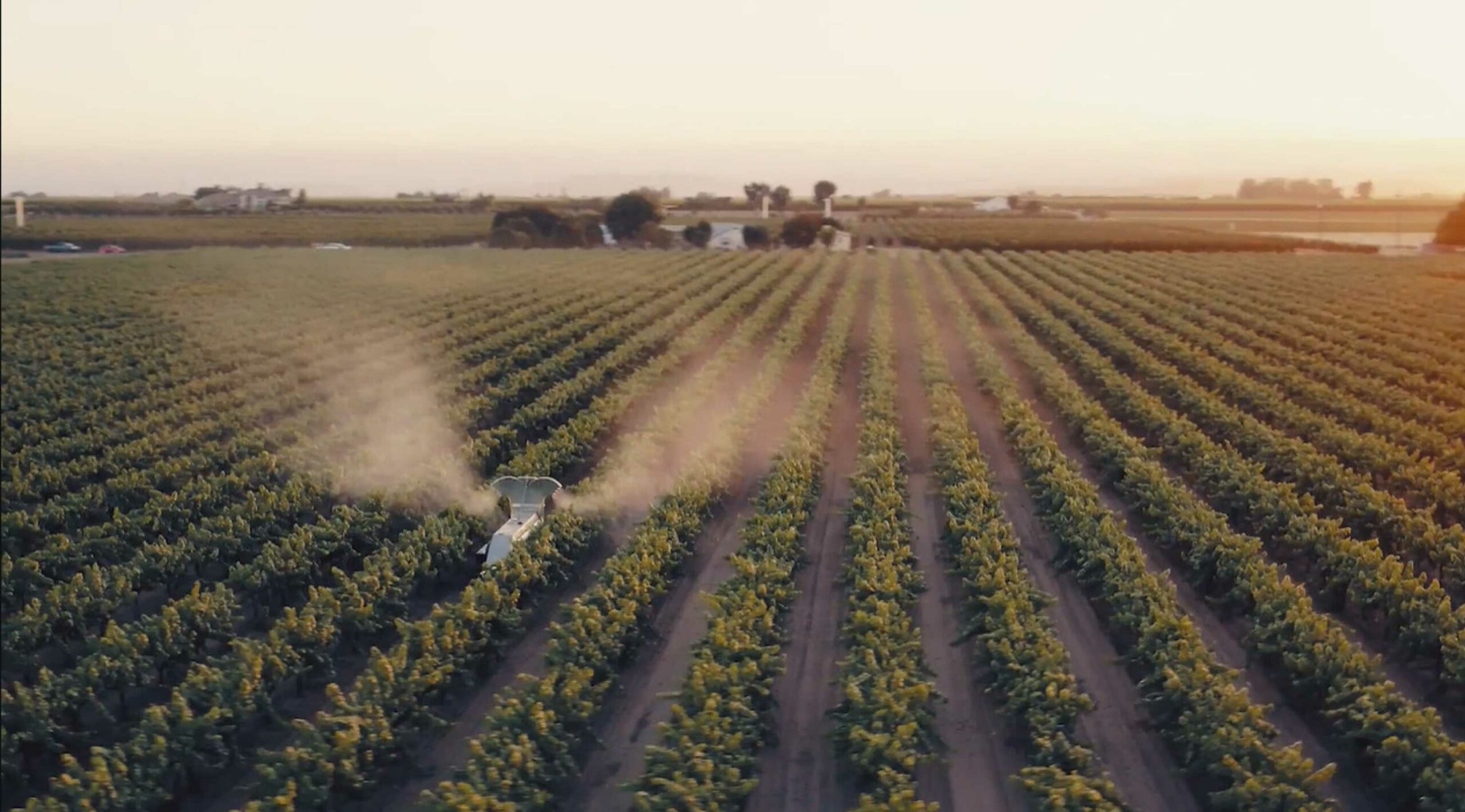 Mini GUSS autonomous vineyard sprayer.